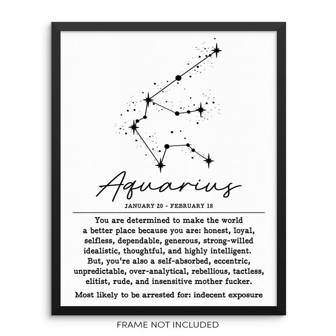 AQUARIUS Funny Zodiac Constellation Wall Decor Art Print Poster