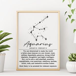 AQUARIUS Funny Zodiac Constellation Wall Decor Art Print Poster