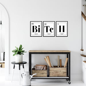 BITCH Periodic Table of Elements Words Art Print Set