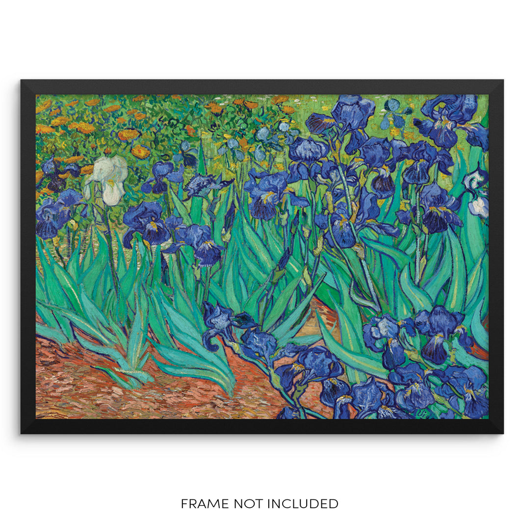 Irises by Vincent Van Gogh Wall Decor Art Print