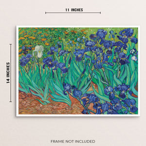 Irises by Vincent Van Gogh Wall Decor Art Print
