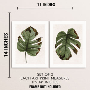 Minimalist Monstera Leaf Art Prints Set Botanical Home Decor Posters