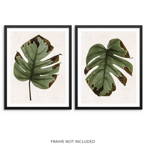 Minimalist Monstera Leaf Art Prints Set Botanical Home Decor Posters