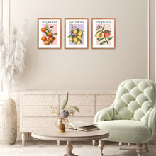 Set of 3 Colorful Gallery Wall Fruit Market Art Prints Lemons Oranges and Peaches Trendy Posters Collage DIGITAL DOWNLOAD