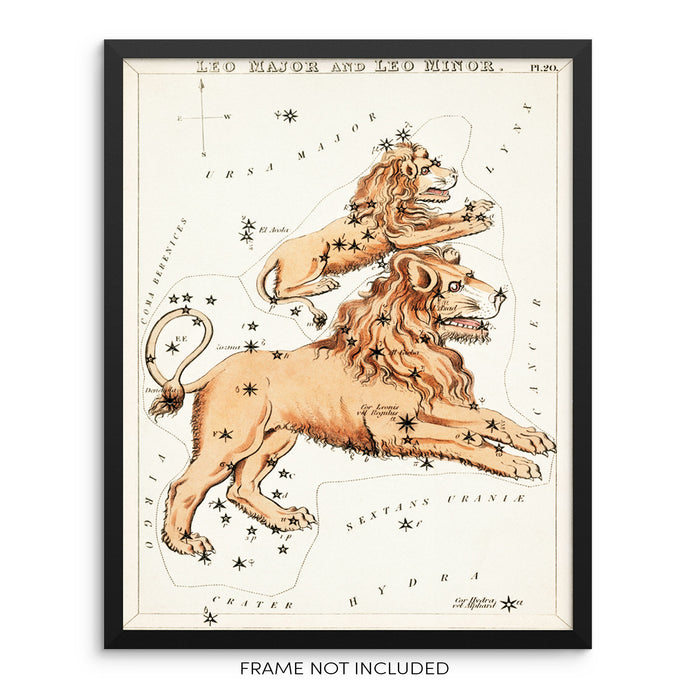 Leo Zodiac Constellation Vintage Horoscope Sign Art Print