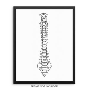 Vertebral Column One Line Art Print Spinal Cord Vertebrae Poster