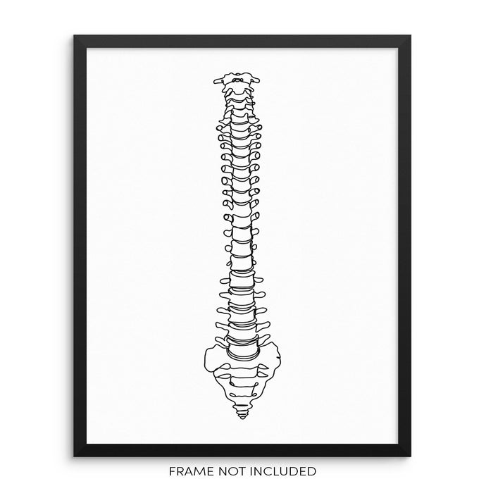 Vertebral Column One Line Art Print Spinal Cord Vertebrae Poster