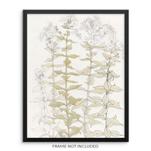 Vintage Botanical Art Print Phlox Flowers and Leaves Wall Poster