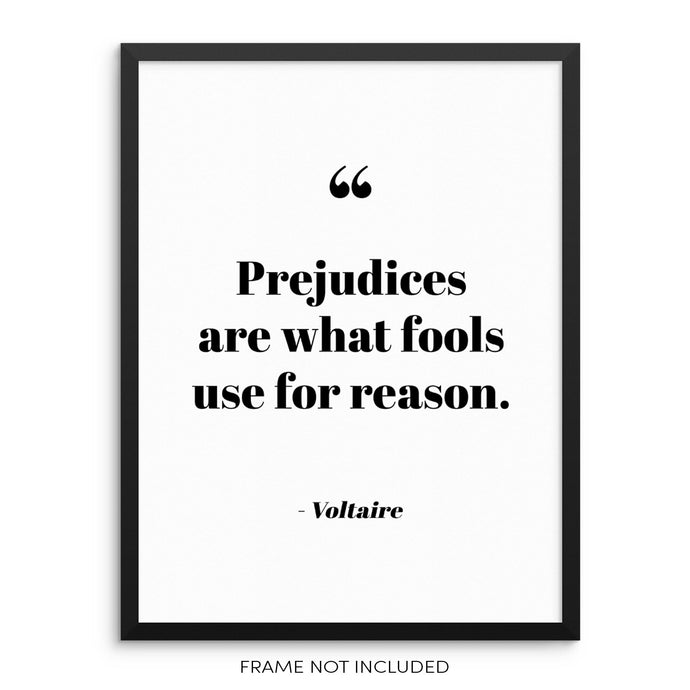 Inspirational Voltaire Quote Art Print Motivational Poster