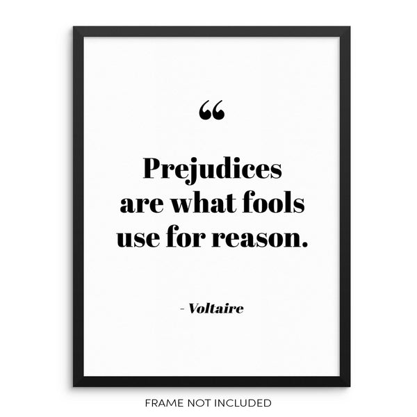Inspirational Voltaire Quote Art Print Motivational Poster