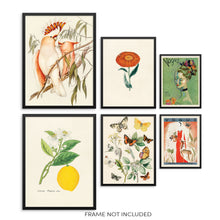 Vintage Art Print Set Butterflies Birds Lemon Flower Vogue Pictures