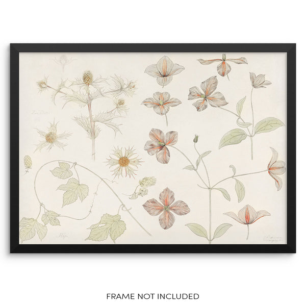 Vintage Botanical Art Print Flowers and Leaves Wall Poster