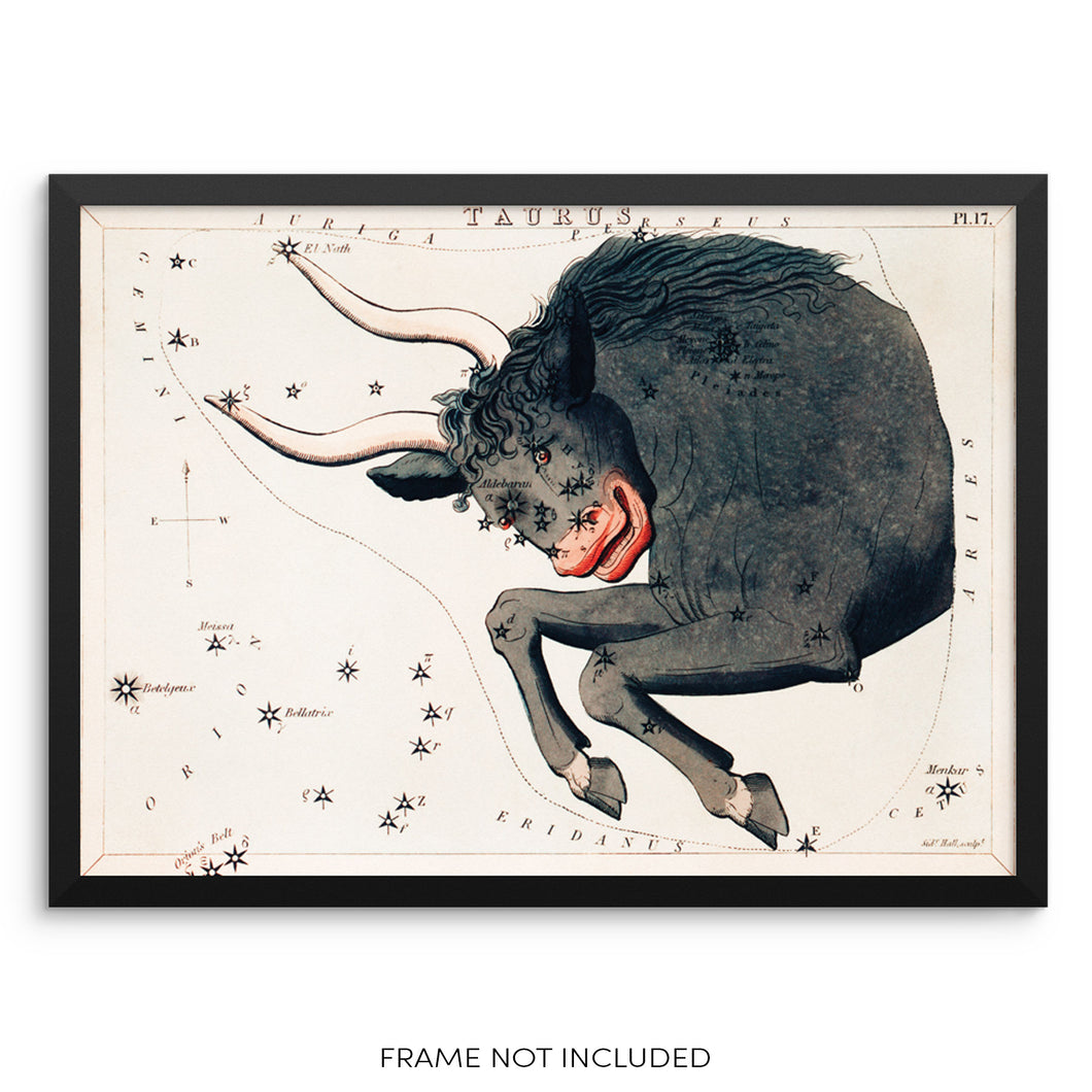 Taurus Zodiac Constellation Vintage  Horoscope Sign Art Print