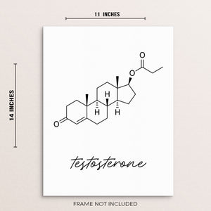 Testosterone Molecule Art Print Molecular Structure Chemistry Poster